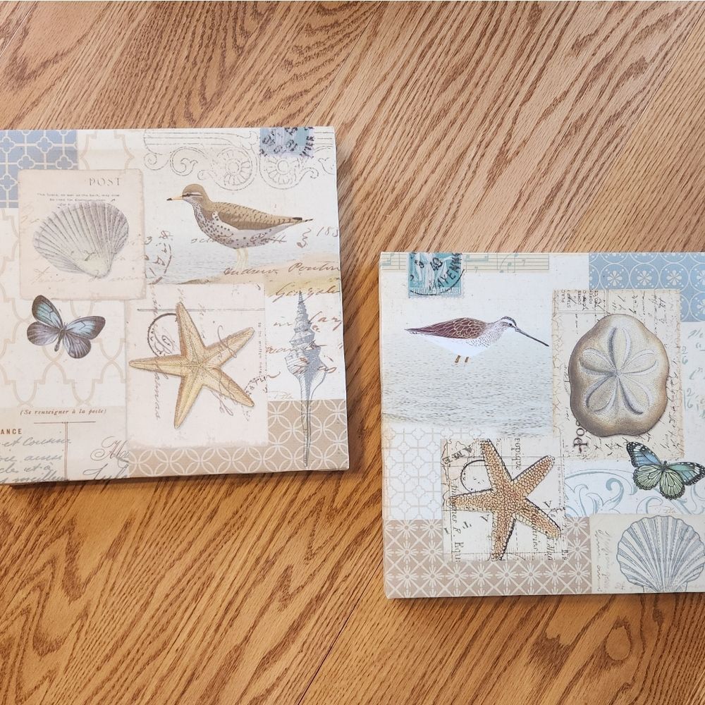 N12 Ocean beach canvas pictures-cream blue & beige seashells birds starfish